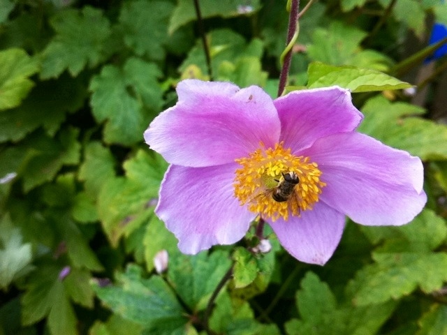 20120909-121909.jpg