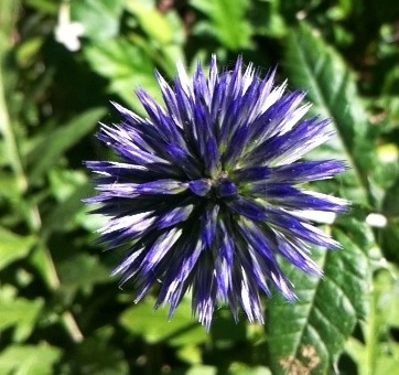 20120909-163743.jpg