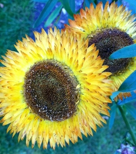 20120909-165313.jpg